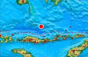 Gempa M7,4 Guncang Flores NTT, Begini Laporan BNPB