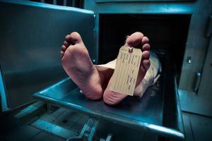 Anak 12 Tahun Tewas Tersengat Listrik Jebakan Tikus di Karawang, Polisi Selidiki Dugaan Kelalaian