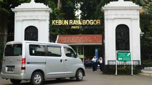 Kebun Raya Bogor Dikunjungi Ribuan Orang, Lalu Lintas Masih Wajar