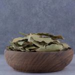 Daun salam
