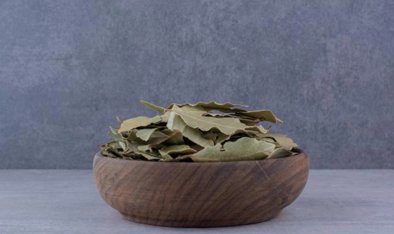 Daun salam