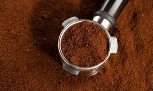 Tak Banyak yang Tahu! Ternyara Ini Manfaat Amapas Kopi Bagi Tanaman