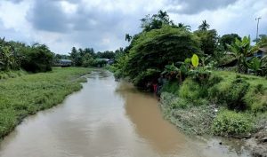 Sakit Ayan Kambuh, IRT di Serdang Bedagai Tenggelam di Sungai
