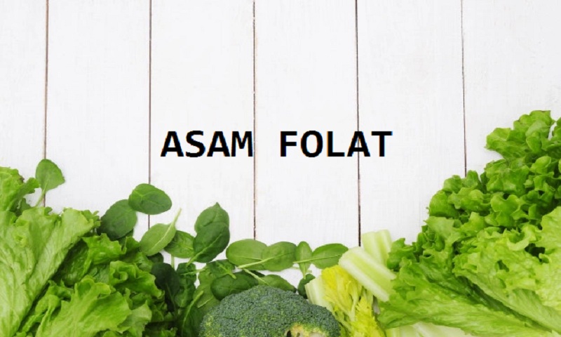 manfaat asam folat