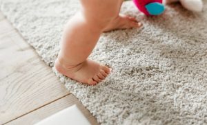 Cara Membersihkan Karpet Bulu di Rumah Dengan Mudah, Yuk Simak!