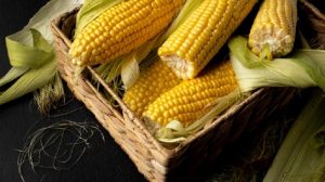 Tiga Manfaat Jagung Bagi Ibu Hamil, Apa Saja?