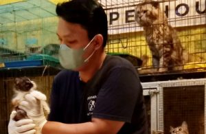 Libur Tahun Baru, Tempat Penitipan Hewan di Purwakarta Alami Penurunan