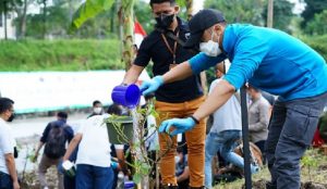 Hengky Kurniawan: Selamat Hari Gerakan Satu Juta Pohon