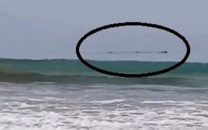 Sebelum Terjadi Gempa di Banten, Hiu Bentang Berenang Dekati Pantai Citepus Sukabumi