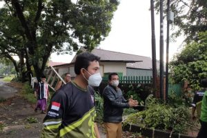 Hujan Angin di Bogor, Puluhan Pohon Tumbang di Beberapa Titik Jalan