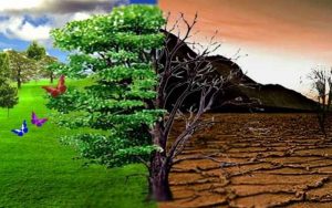 Walhi Ungkap Turunnya Kualitas Lingkungan Hidup di Jabar Karena Proyek Strategis Pemerintah
