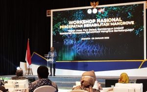 HPN 2022, KLH dan PWI Soroti Ekosistem Hutan Mangrove