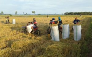 Untuk Tingkatkan Produksi Pertanian, DPRD Jabar Minta Pemprov Perhatikan Hal Ini