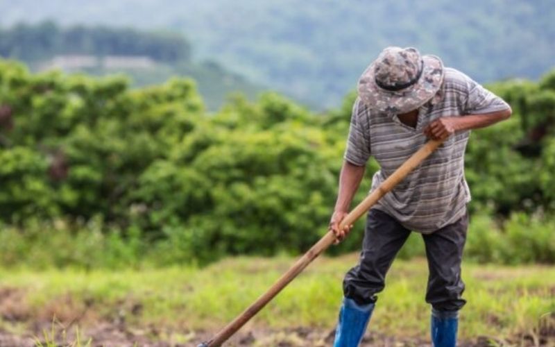 Jabar Punya 543.044 Petani Milenial, Paling Banyak di Kabupaten Sukabumi