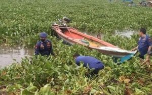 Jarang Diketahui! Ternyata Ini Manfaat Eceng Gondok Bagi Kesehatan Tubuh