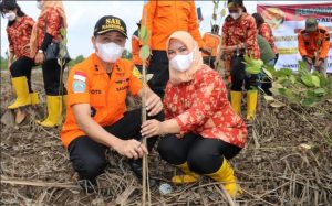 Sambut HUT ke 50, Basarnas Medan Tanam Pohon Mangrove