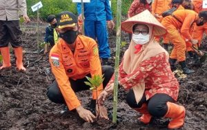 Cegah Abrasi, Basarnas Nias Tanam 500 Pohon Mangrove