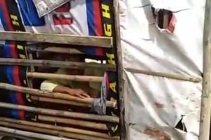 Warga Karawang Tinggal di Kandang, Alami Gangguan Jiwa dan Tak Bisa Rawat Anak
