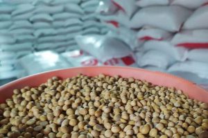 Harga Kedelai Mahal, Perajin Tempe di Cianjur Kurangi Ukuran dan Produksi