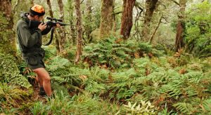 Berburu Babi Hutan di Sukabumi, Warga Bogor Tewas Tertembak Sesama Pemburu