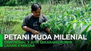 Video: Milenial Asal Purwakarta, Boti Sukses Jadi Petani Inspiratif
