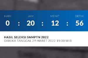 Sudah Dibuka, Cek Pengumuman SNMPTN 2022 di Sini