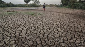 BMKG Sebut Pergeseran Puncak Kemarau 2025, Pulau Jawa Alami Perubahan Signifikan