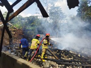 Kandang Terbakar, 37 Domba Mati Terpanggang