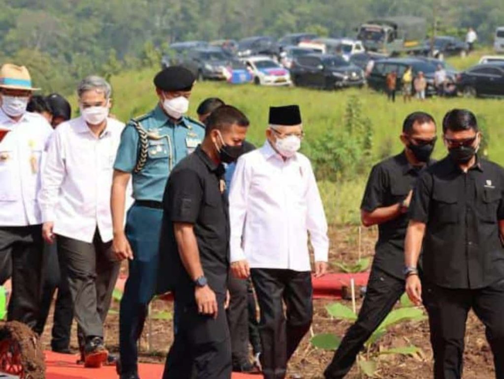 Berkunjung ke Purwakarta, KH Maruf Amin Tinjau Penanaman Jagung dan Kedelai