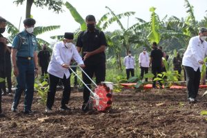 Datang ke Purwakarta, KH Maruf Amin Genjot Kekuatan Pangan