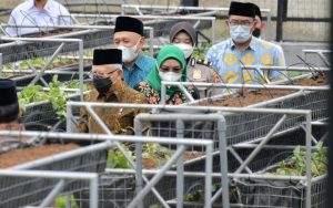 Keren, Ponpes Al-Ittifaq Bandung Jadi Percontohan Nasional Digitalisasi Pertanian