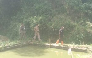 Limbah Peternakan Ayam Cemari Sungai, DLH Cianjur Minta Warga Buat Laporan Tertulis