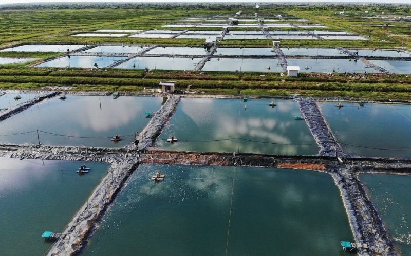 Pemkab Subang Sambut Baik Revitalisasi Tambak di Kawasan Pesisir Utara