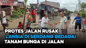 Video: Bentuk Protes, Lansia di Serdang Bedagai Tanam Bunga di Jalan Rusak