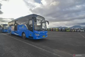 Damri Beri Layan Gratis dari Bandara Lombok hingga Sirkuit Mandalika