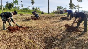 Satgas Citarum Harum Sektor 13 Tanam Pohon Dilahan Kritis
