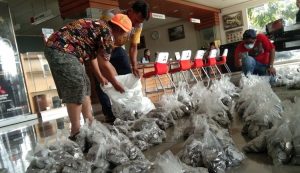 Heboh, Pemilik Jembatan Penyebrangan di Karawang Beli Mobil Pajero Sport dengan Uang Receh Rp500