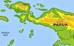Indonesia Bakal Punya Tiga Provinsi Baru di Papua, Ini Cakupan Wilayahnya