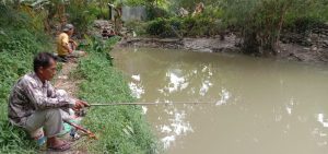 Pemancing Padati Lokasi Ikan Tapa Raksasa di Sungai Padang Tebing Tinggi