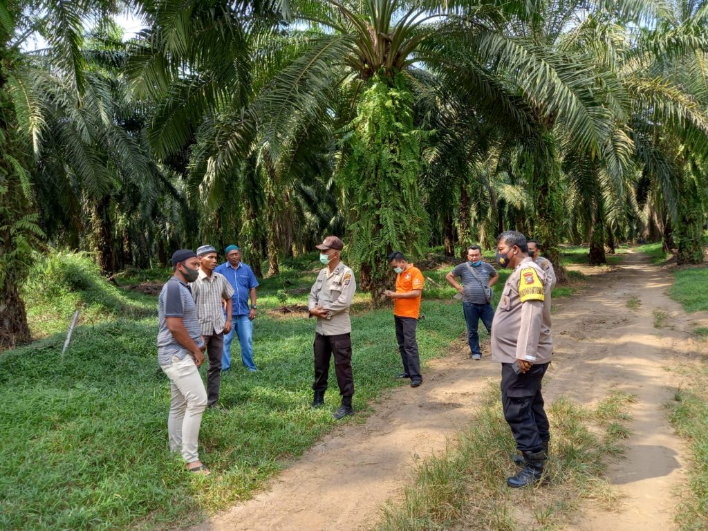 Karyawan Perkebunan Sawit di Serdang Bedagai Tewas Didepan Istri