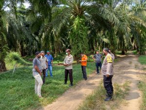Karyawan Perkebunan Sawit di Serdang Bedagai Tewas Didepan Istri