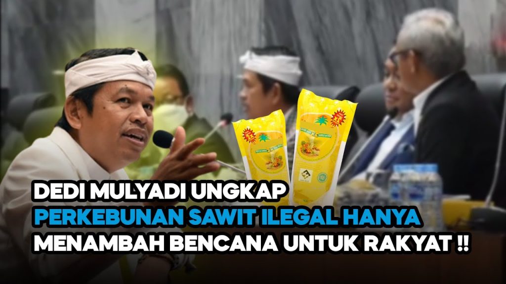 Video: Dedi Mulyadi Ungkap Kejanggalan Persoalan Kebun Sawit Ilegal di Indonesia