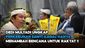 Video: Dedi Mulyadi Ungkap Kejanggalan Persoalan Kebun Sawit Ilegal di Indonesia
