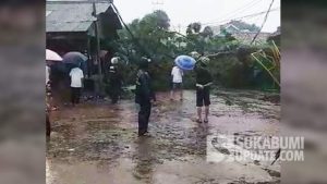 Hujan Disertai Angin Terjang Bojonggenteng Sukabumi, Dua Rumah Rusak Tertimpa Pohon