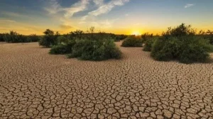Antisipasi Kekeringan Karena El Nino, BPBD Jabar Lakukan Hal Ini