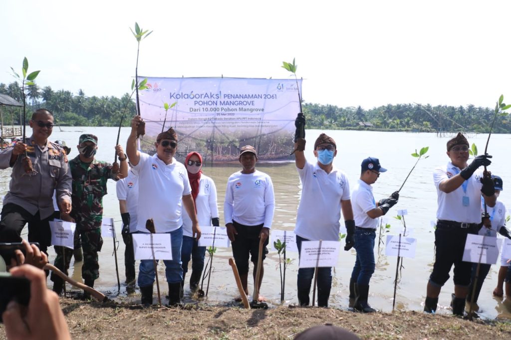 Tanam 2061 Pohon Mangrove, Bank BJB Dukung Indonesia Tanpa Pencucian Uang dan Pendanaan Teroris