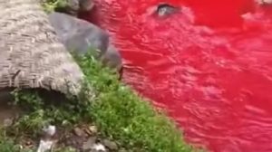 Sampel Air Sungai Cimeta Diperiksa, Pembuang Limbah Terancam Pidana