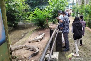 Ribuan Pengunjung Padati Bandung Zoo Selama Lebaran