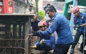Monyet Peliharaan di Tajurhalang Bogor Ngamuk, Seorang Warga Dapat 20 Jahitan