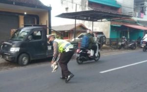 Dramatis! Demi Selamatkan Seekor Kucing, Anggota Polisi di Tasikmalaya Nyaris Tertabrak Elf